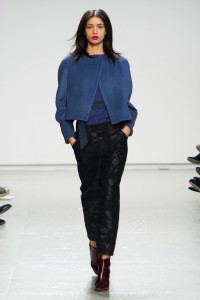 Rebecca Taylor Fall 2014 NYFW Blue