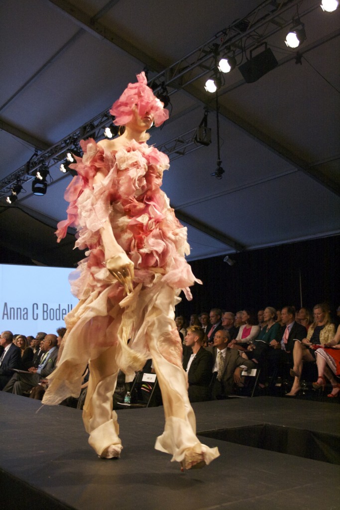 Anna C Bodell  Junior SAIC The Walk 2015