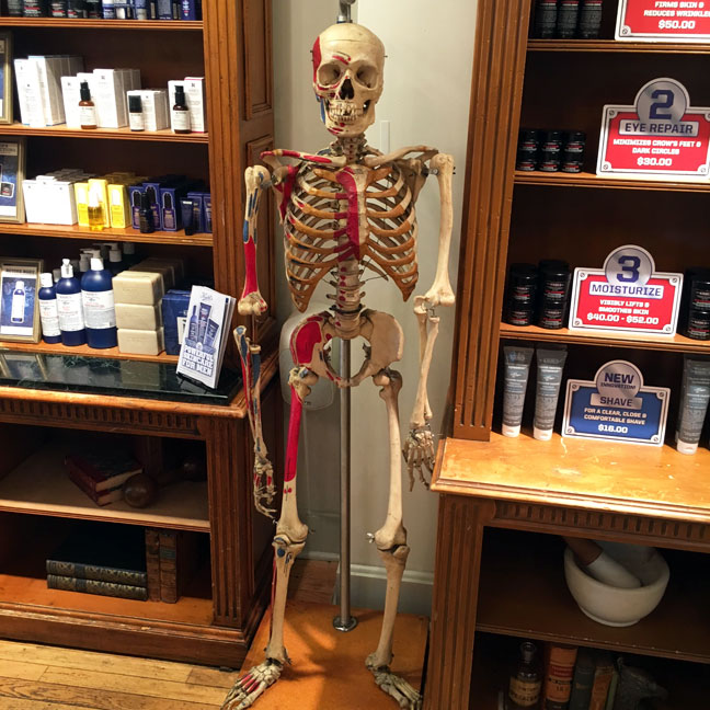 kiehls-store-new-york-skeleton