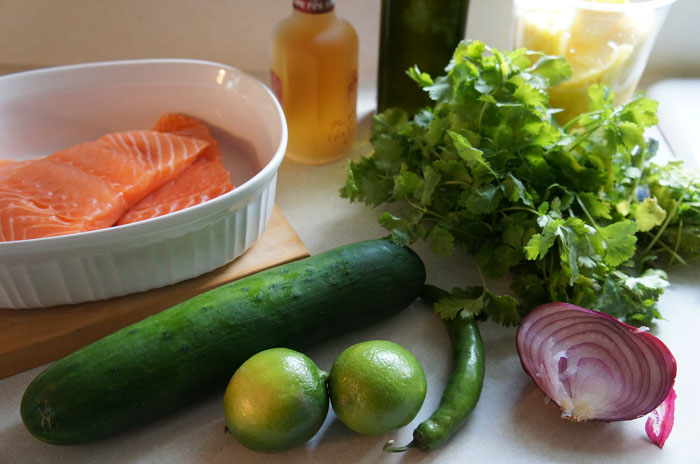 Salmon and Pineapple Salsa fresh-ingredients fountaiinof30
