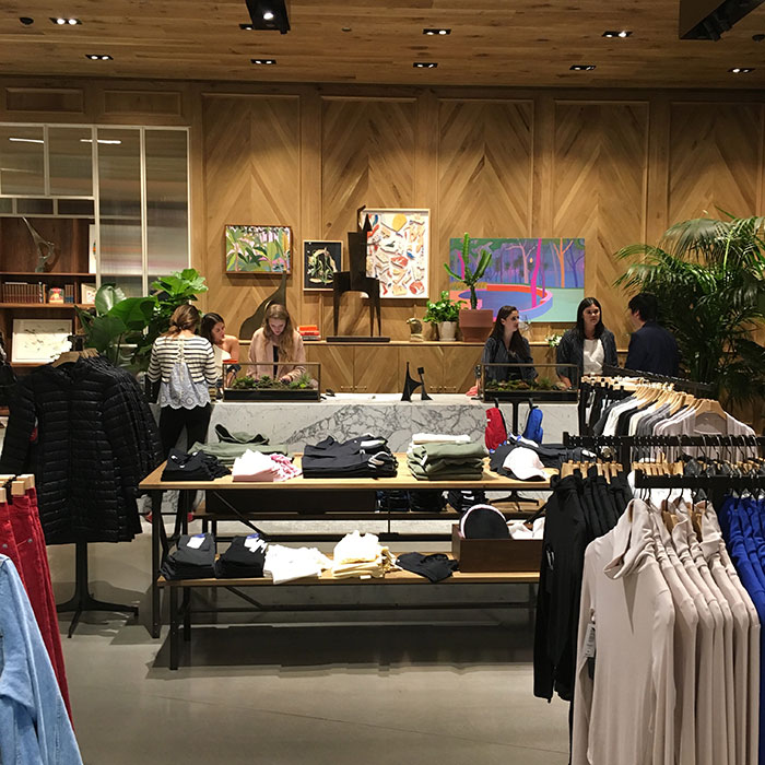 Aritzia 900 North Michigan Shops