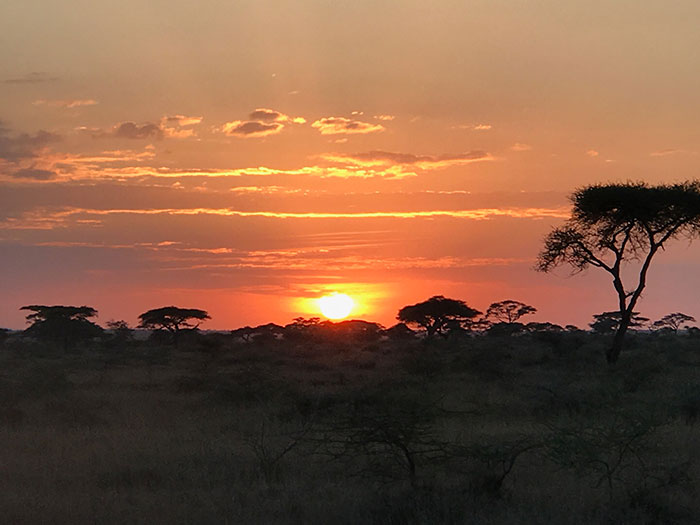 african safari sunset zanzibar 