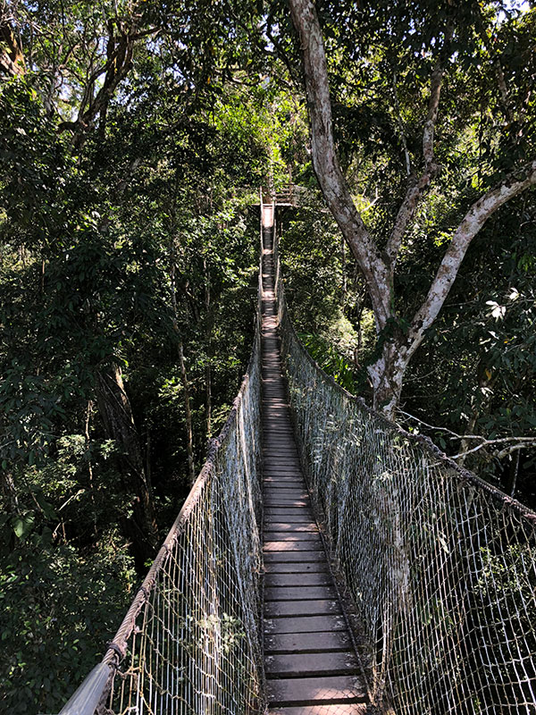 travel to Peru Puerto Maldonado foot bridge