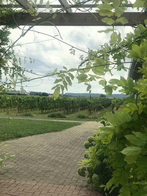 Niagara-on-the-Lake Inniskillin Winery