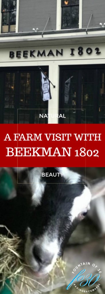 Beekman 1802 Farm Visit