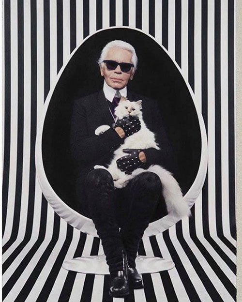 karl lagerfeld white cat in white chair black and white stripe background