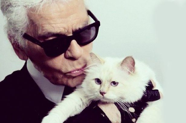 karl lagerfeld kissing his white cat Choupette