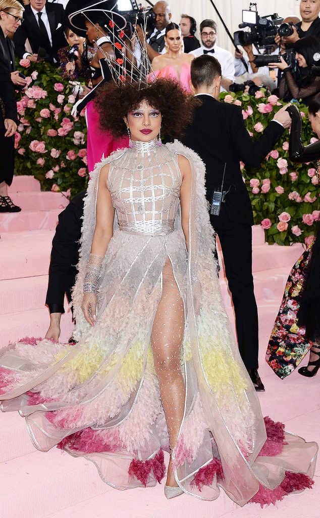 met gala 2019 Priyanka Chopra in Christian Dior silveer feather gown