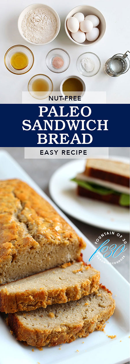 paleo sandwich bread recipe fountainof30