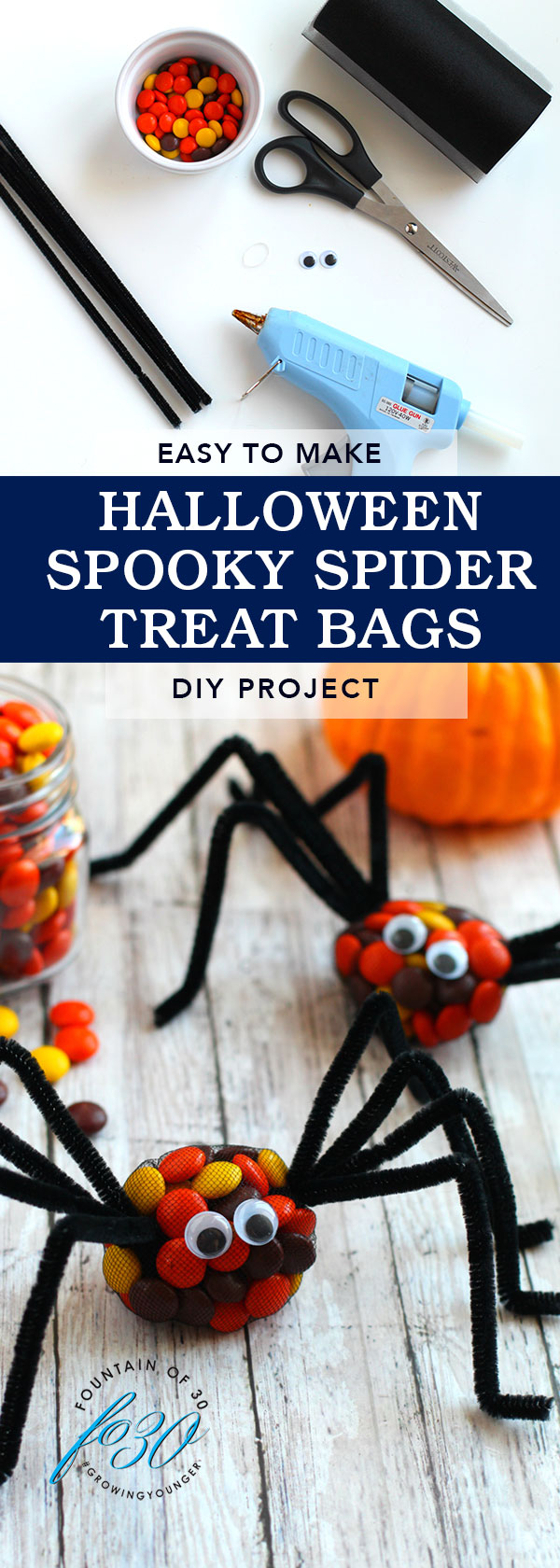 halloween spooky spider treat bags fountainof30