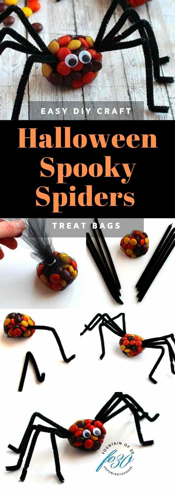 halloween spider treat bags fountainof30