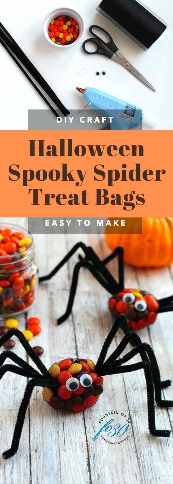 DIY Halloween candy spider treat bags fountainof30