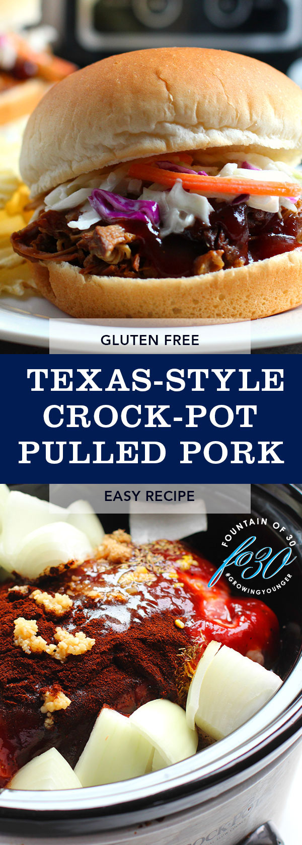 pulled pork crock pot recipe fountainof30
