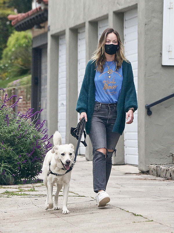 Olivia Wilde wears a face mask walking dog
