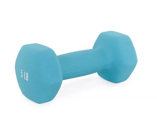 fitness at home dumbells 5 lb fountainof30