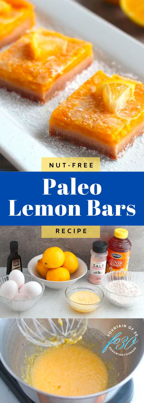 nut free paleo lemon bars recipe fountainof30
