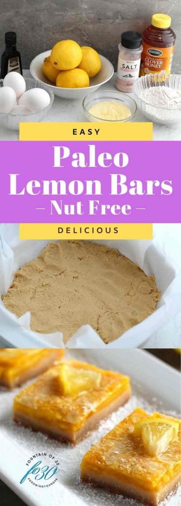 nut free gluten free lemon bars fountainof30