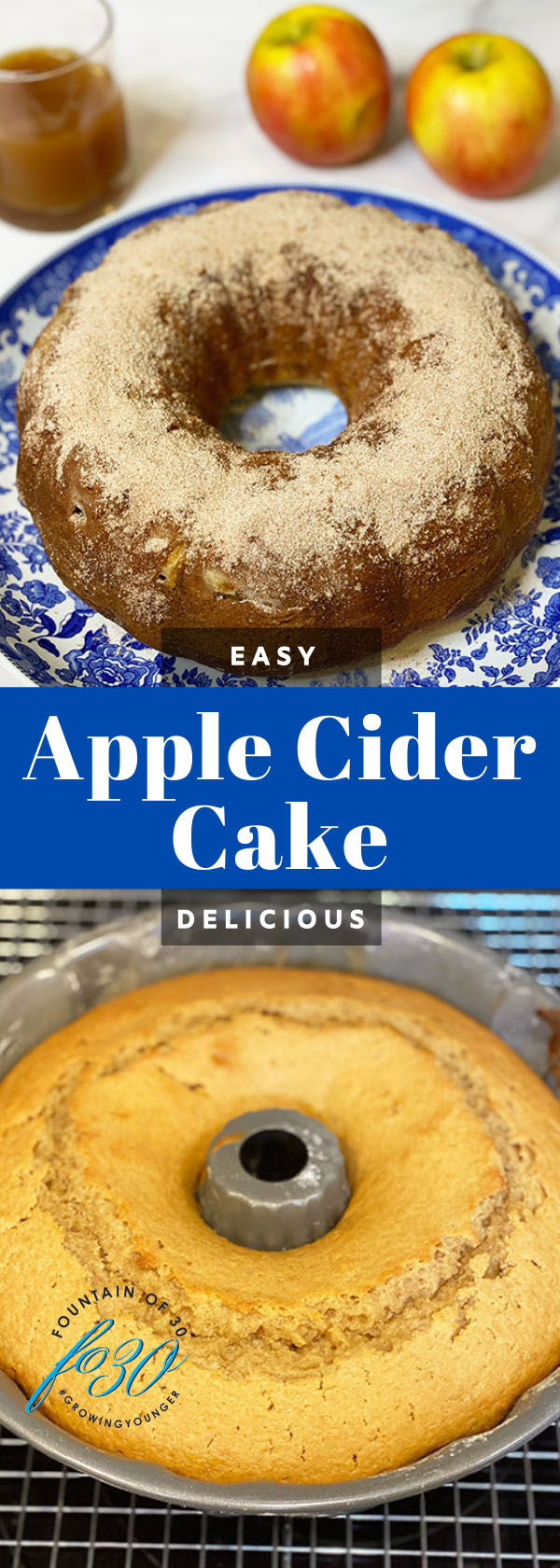 apple cider cake fountainof30