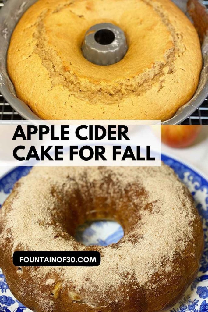apple cider cake fall recipe fountainof30