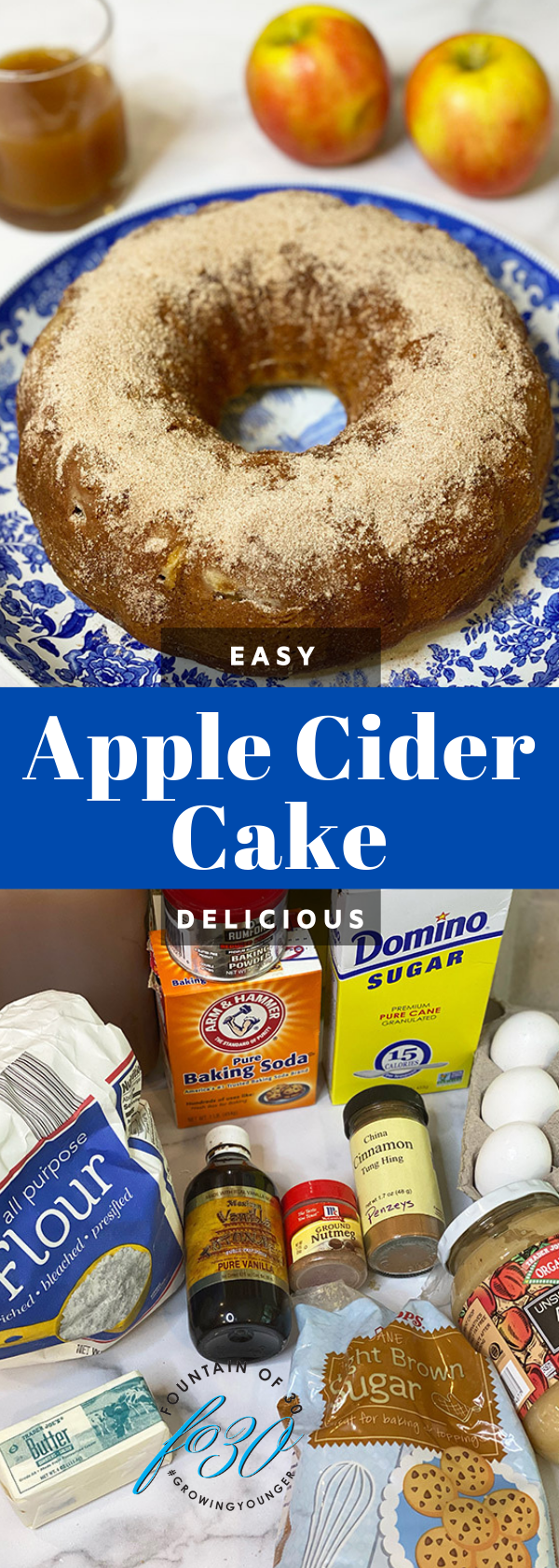 apple cider cake ingredients fountainof30