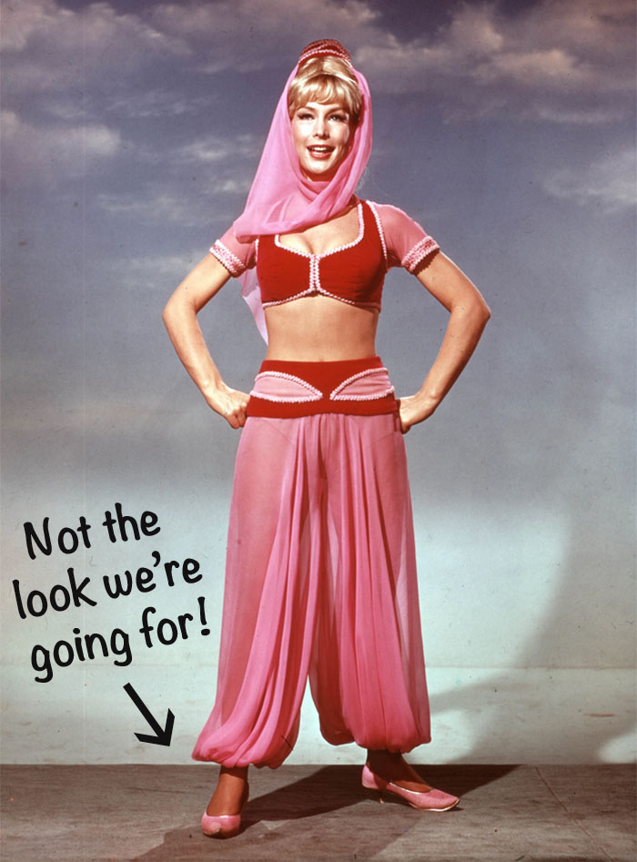 I dream of jeannie barbara eden harem pants