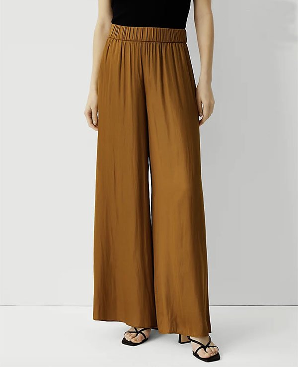 Ann Taylor Palazzo Pants fountainof30