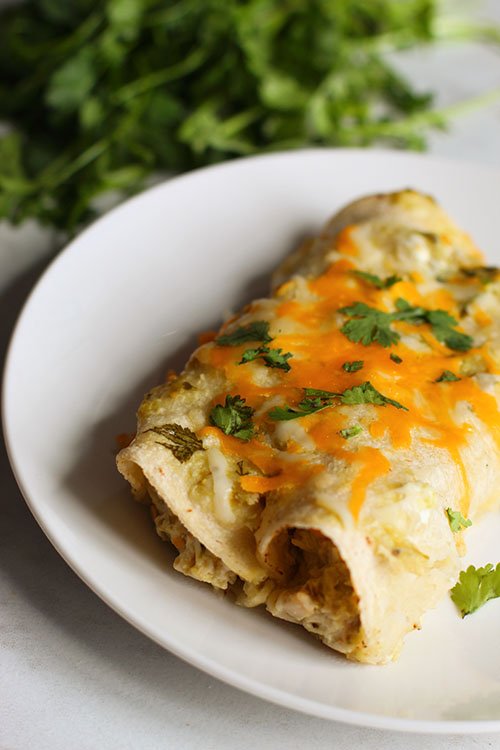 salsa verde chicken enchiladas fountainof30