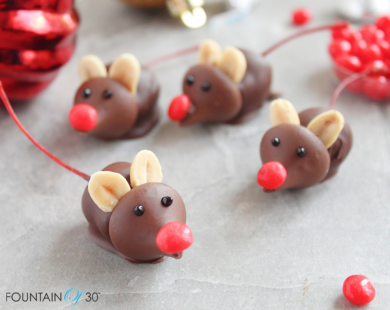 christmas mice candy fountainof30