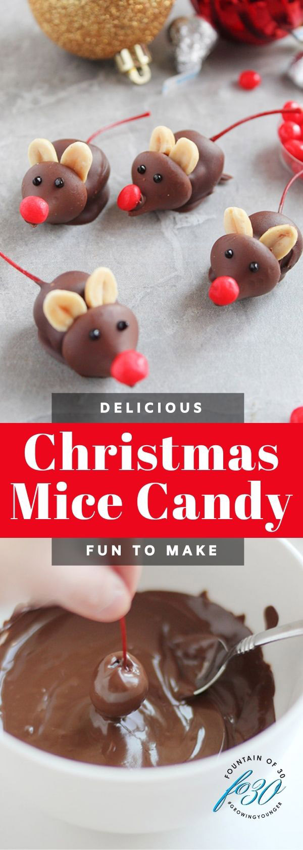 chocolate cherry mice candy fountainof30