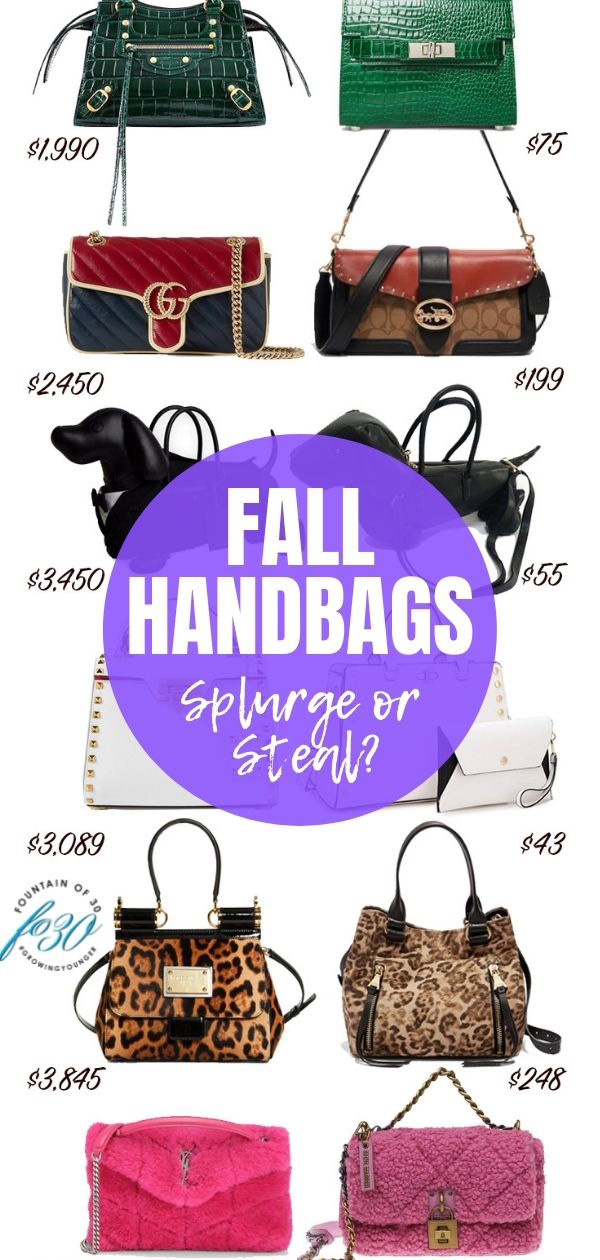 fall 2021 handbags for less fountainof30