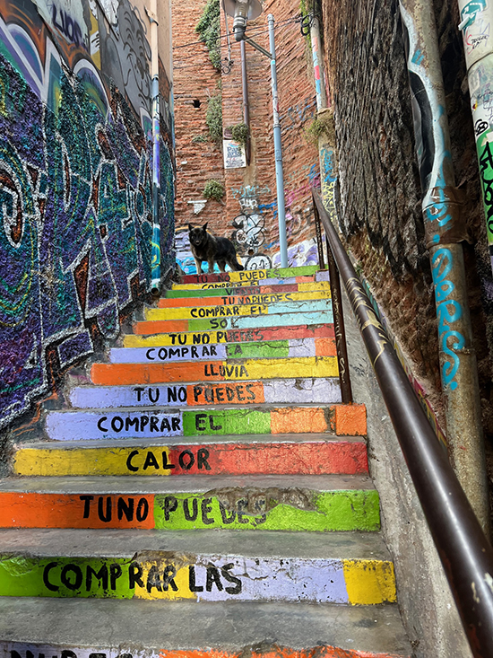 Valparaiso Chile step graffitti fountainof30 travel