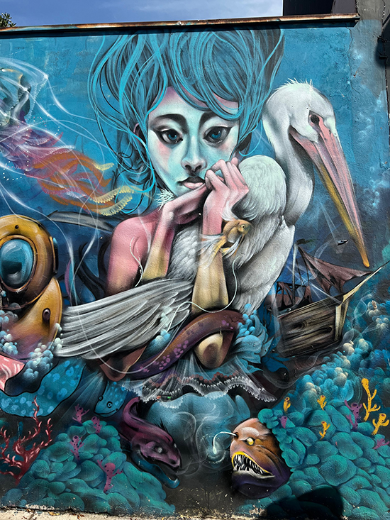 Valparaiso Chile wall mural