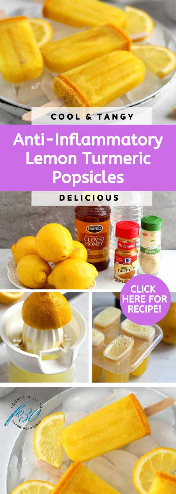 frozen treats lemon popsicles recipe fountainof30