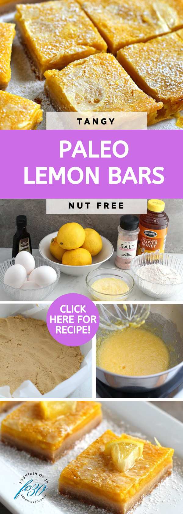 tart and sweet paleo lemon bars fountainof30