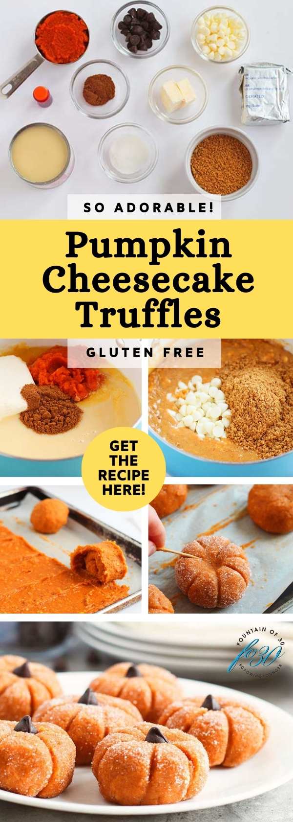 cheesecake pumpkin truffles how to make fountainof30