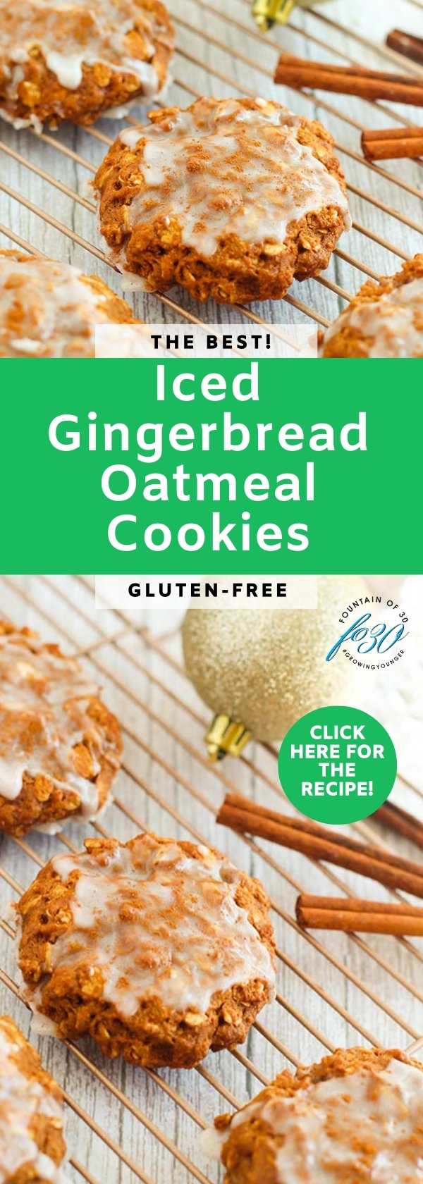 best iced gingerbread oatmeal cookies fountainof30