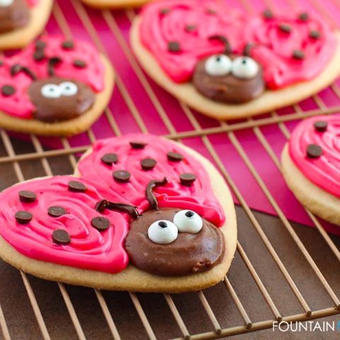 Free Homemade Peyton List Nude - Delectable Love Bug Decorated Valentine Frosted Sugar Cookies (Gluten Free)  - fountainof30.com