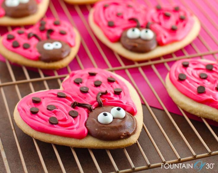 love bug valentine cookies fountainof30