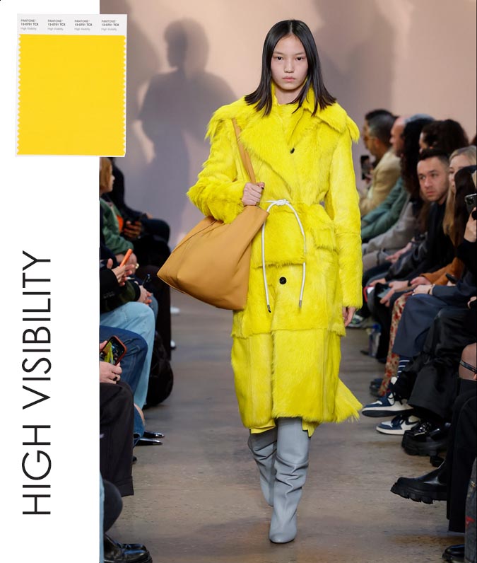 High Visibility At Proenza Schouler Fall 2023 fountainof30