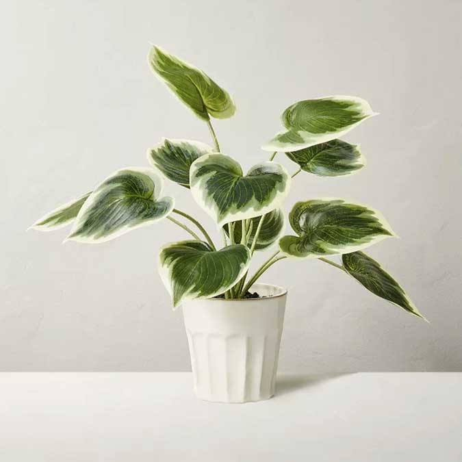 Leafy Greenery spring decor ideas fountainof30