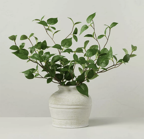 leafy greens in vase fountainof30