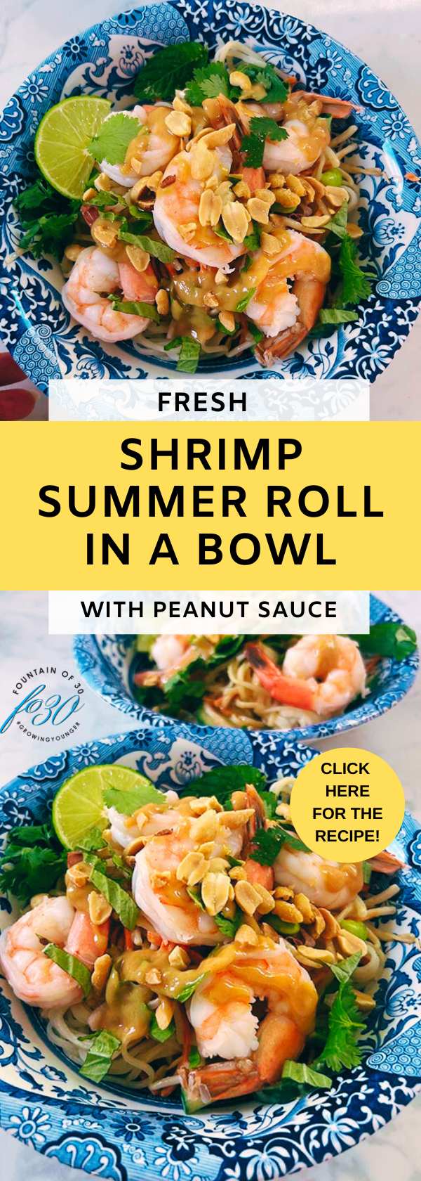 shrimp summer roll in a bowl with peanut sauce fountainof30
