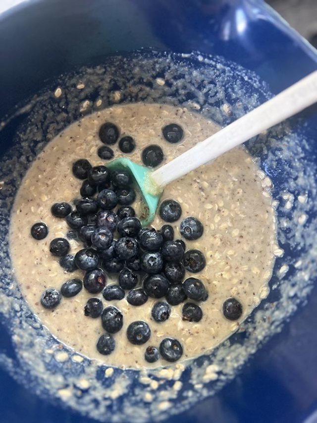 Blueberry Oatmeal Protein Muffins Healthy, Satisfying and So Delicious