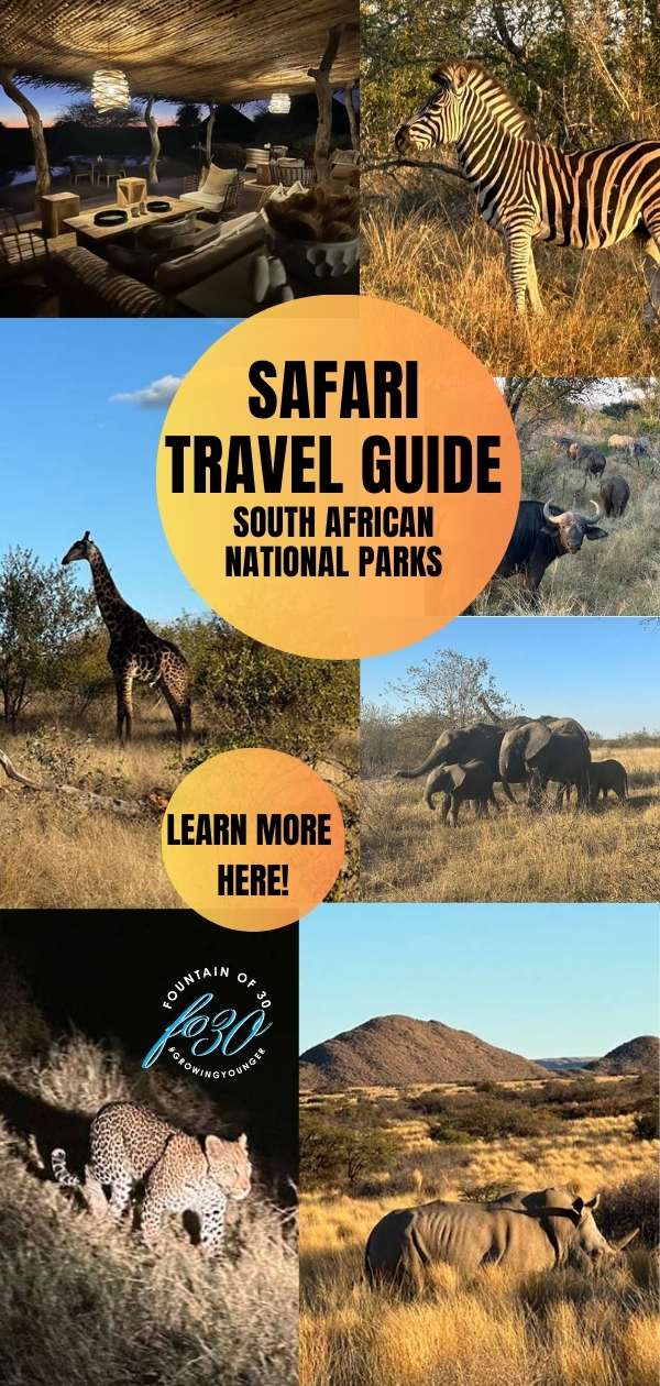 south african safari travel tips fountainof30