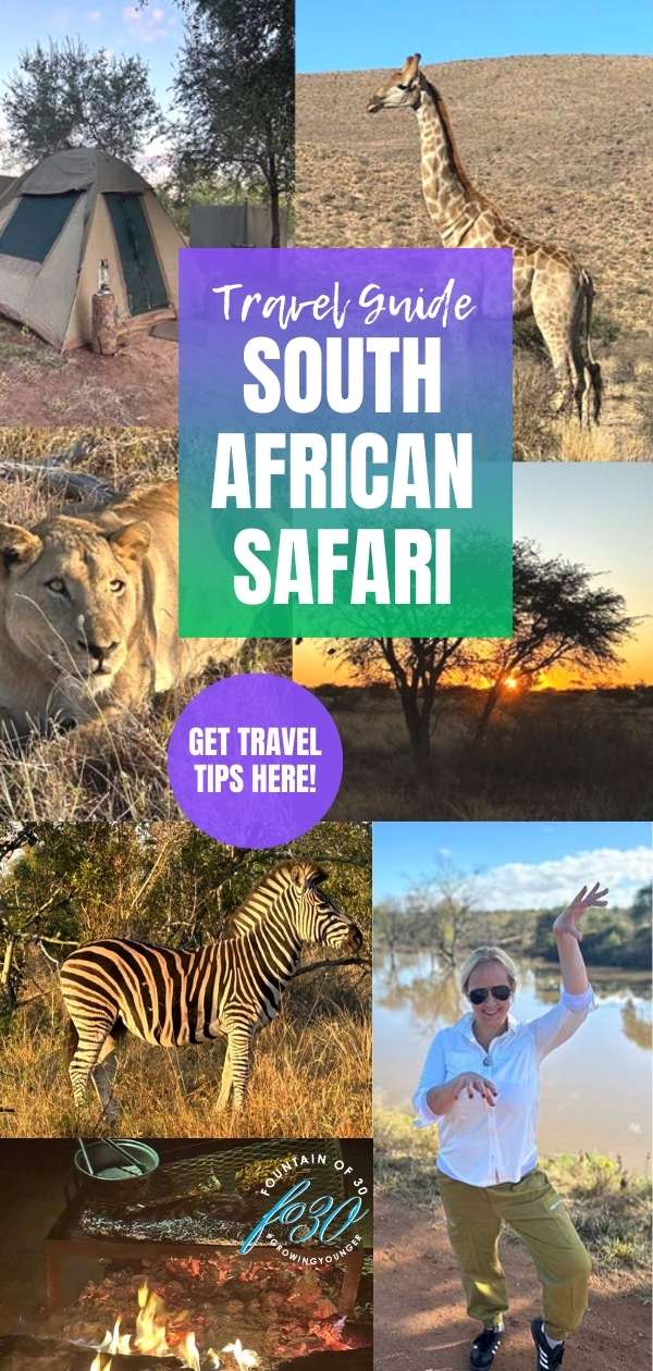 travel guide south africa safari bucket list fountainof30