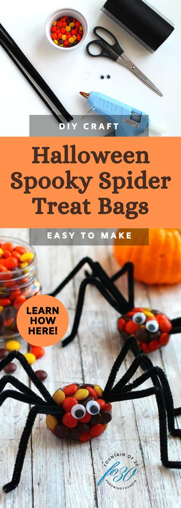 spooky spider halloween treats with reese's pieces fountainof30