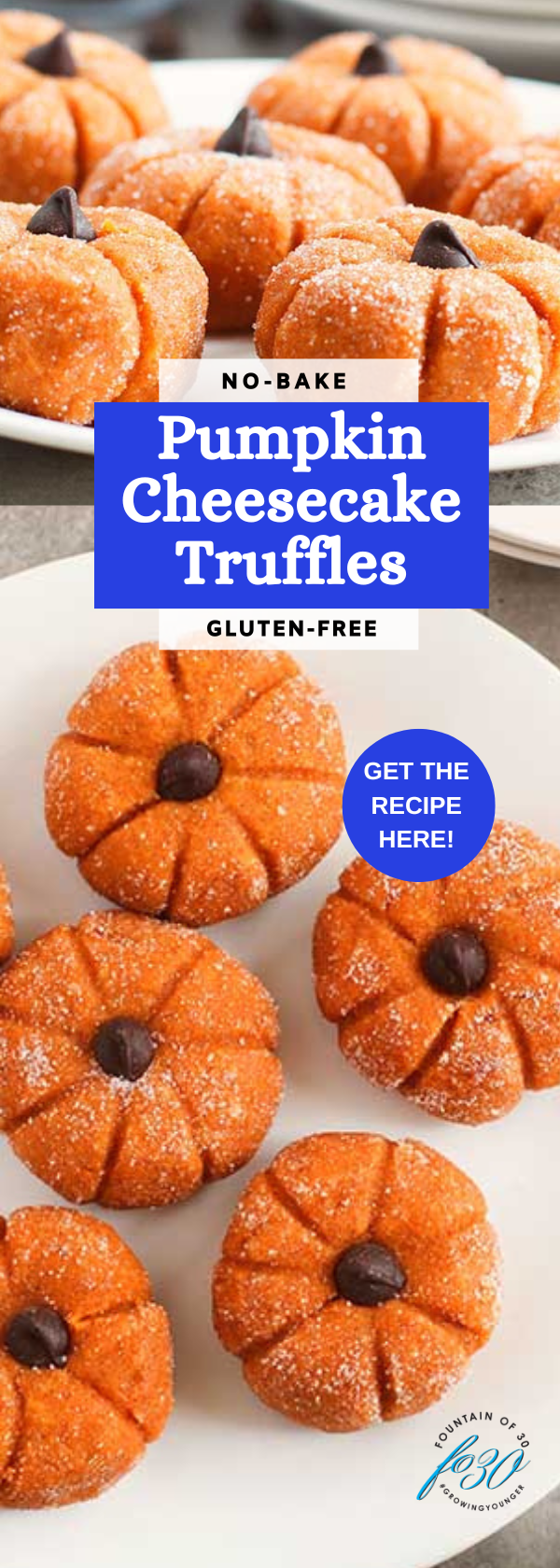 no-bake pumpkin cheesecake truffles gluten-free recipe fountainof30