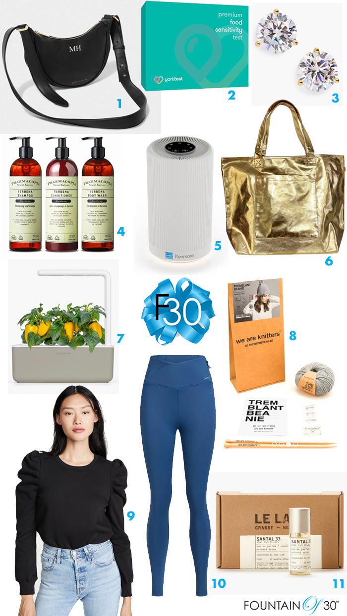 best holiday gifts under 100 fountainof30