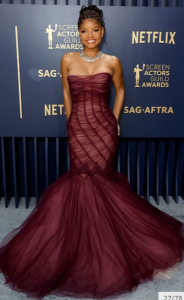 Best Dressed SAG Awards Halle Bailey in Dolce &amp; Gabbana 2024