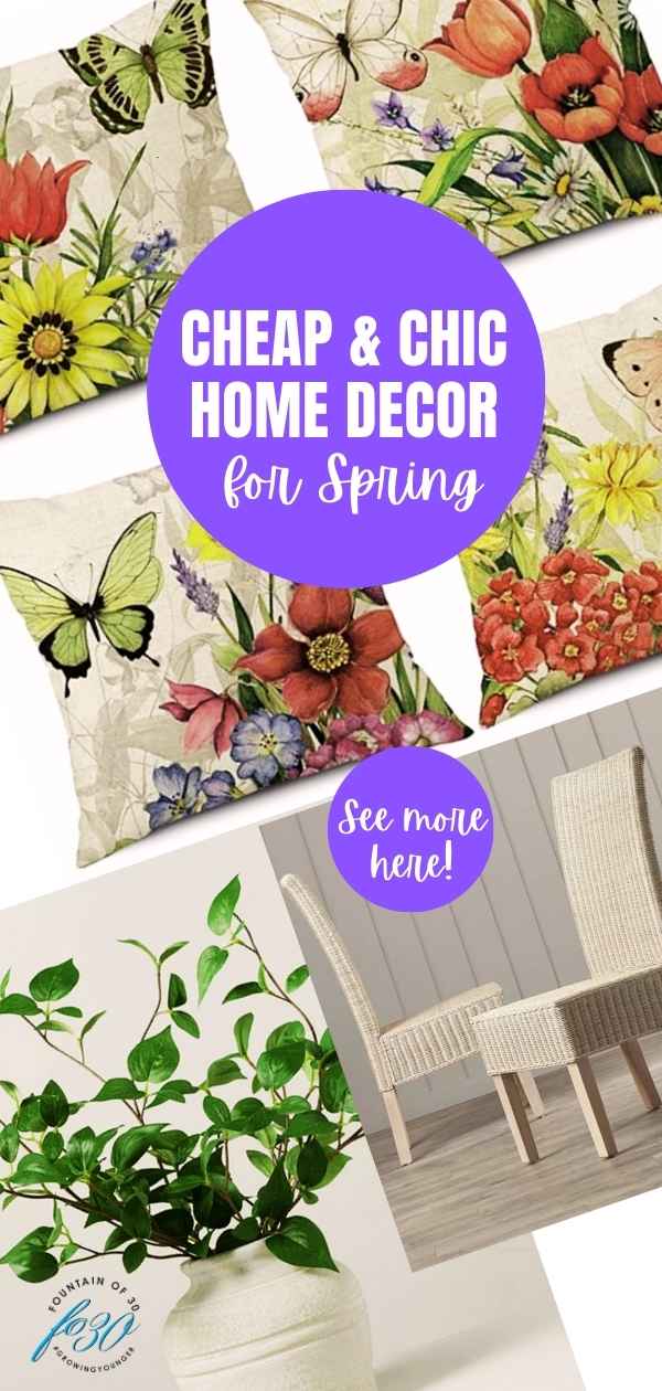 cheap and chic home decor for spring 2024 fountainof30